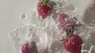 一滴牛奶和一个甜的成熟的红色草莓果实落入白色盘子与牛奶溅。 上景。 慢慢